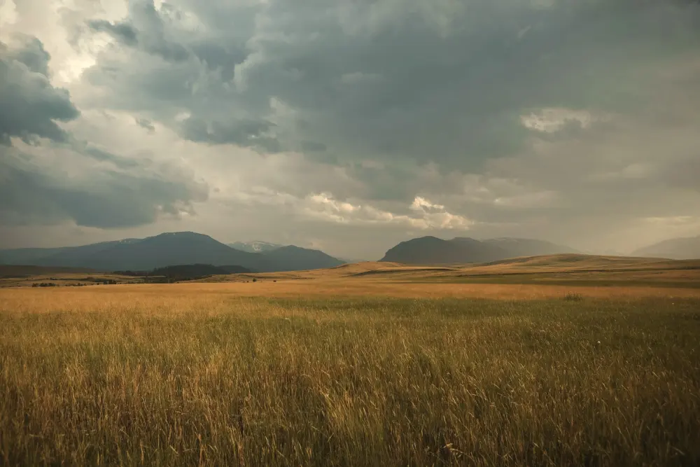 Open grassland in late light, with a mountain range under storm clouds on the horizon.